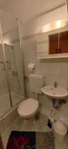 a bathroom with a toilet and a sink and a shower at Pension Harzresidenz in Thale
