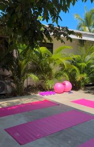 Сад в La Tribu Boutique Hostel for women