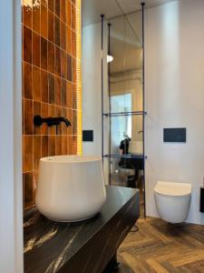 een badkamer met een wastafel en een toilet op een aanrecht bij Widok Marzeń Sun&Ski Romantic Art House z garażem in Krynica Zdrój