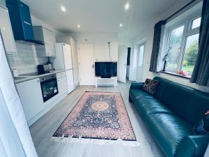 a living room with a green couch and a rug at A cozy apartment in Windsor