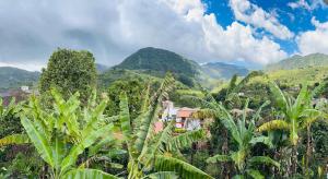 a view of a village in a forested mountains at La Casa de las Flores Hostal in Jardin