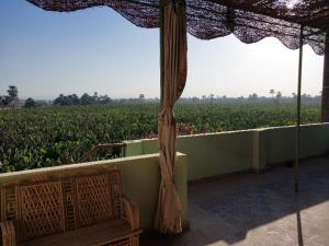 a bench under an umbrella in front of a field at Luxor Experience Guest House in Luxor +24 photos