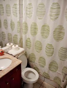 サンティアゴにあるAlojamiento Santiago Centro Chileのトイレとシャワーカーテン付きのバスルーム +23枚の写真