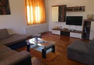 Televízia a/alebo spoločenská miestnosť v ubytovaní Apartments Ognjen