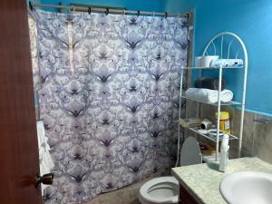 a bathroom with a shower curtain and a toilet at Seaview Guesthouse Apt#1 in Bank Level +21 photos
