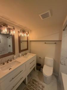 a bathroom with a sink and a toilet and a mirror at Love at First Sight Retreat Luxury 4 bed 4 bath near DC Family Home in Annandale +46 photos
