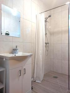 Koupelna v ubytování City centre B Apartment, parking, sleeps 6