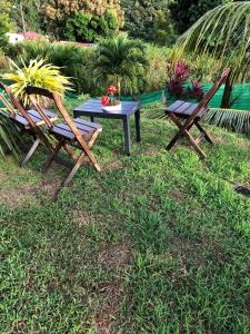 two chairs and a picnic table in the grass at PASSION de PARADIS in Rivière-Pilote