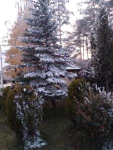 Apartman Šumski San v zimě