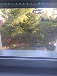 Zahrada ubytování Apartman Šumski San