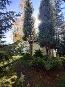 Zahrada ubytování Apartman Šumski San