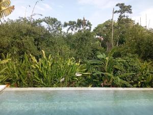 Swimmingpoolen hos eller tæt på Villa Akasha