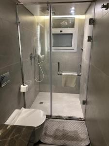a bathroom with a shower with a toilet and a sink at شقة فندقية فى الشيخ زايد داخل كمبوند حديقة خاصة ومدخل خاص in Sheikh Zayed +60 photos