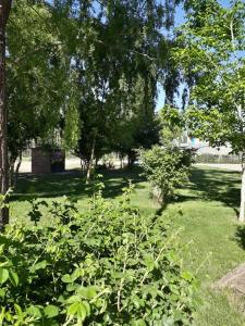 a green bush in a yard with trees at Cabañas EL BOSQUE in Malargüe