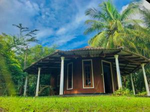 Mango Tree Homestay and Hostel 야외 정원