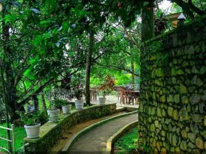 a stone path in a park with a stone wall at Sisiliyana Stone Resort in Gonapola