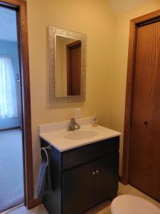 un baño con lavabo y espejo en Modern, Amish-Built Farmhouse, 3 bedrooms sleeps 6, en Medina