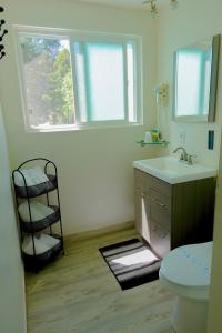 une salle de bain avec un lavabo et des toilettes et une fenêtre dans l'établissement Sleepy Hollow Cabins and Hotel, à Crestline