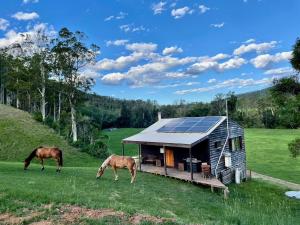 dos caballos pastando frente a una casita en Avalon River Retreat - 400 acre riverside oasis, en Ellenborough 24 fotos más