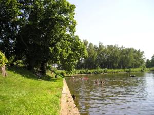 テルチにあるCamp Telč - U Roštěnkyの川泳ぎの集団