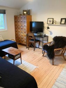 a living room with a couch and a tv and a table at Cosy, Undisturbed Sanctuary Away From The City in Nykøbing Sjælland +16 photos