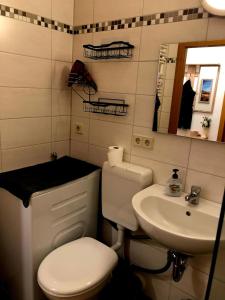 Ένα μπάνιο στο Ferienwohnung am Fuße des Zittauer Gebirges