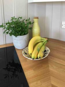 a plate of bananas on a table with a plant at Charming Holiday Home By Sea Near Stavern in Stavern +6 photos
