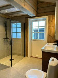 a bathroom with a shower and a toilet and a sink at Cabin With Panoramic View In Synnfjell in Nord Torpa