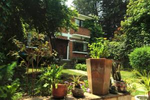 Zahrada ubytování Cabin in the forest of CDMX + 13 fotografií