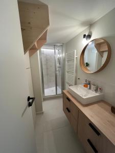 a bathroom with a sink and a mirror at Charmant Duplex in Saint-Didier-au-Mont-dʼOr