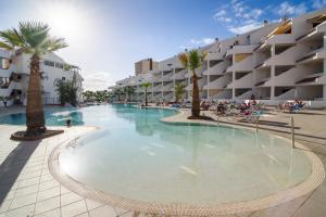 a large swimming pool with palm trees in a resort at Paloma Beach Apartments in Los Cristianos