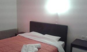 Foto da galeria de Hotel Ballas em Agria