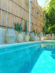 a row of potted plants sitting next to a fence at Bale Sampan Boutique Bungalows in Gili Trawangan