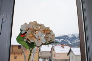 Γενική θέα στο βουνό ή θέα στο βουνό από  αυτό το ξενοδοχείο διαμερισμάτων