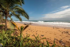 ชายหาดของเซอร์วิสอพาร์ตเมนต์หรือชายหาดที่อยู่ใกล้ ๆ