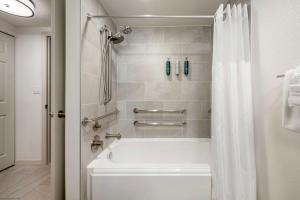 Koupelna v ubytování Hilton Vacation Club Aqua Sol Orlando West