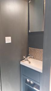 a bathroom with a sink and a mirror at Roulotte in Cassagnes-Bégonhès