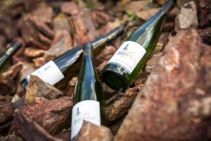 Fotografie z fotogalerie ubytování Chambre du Vigneron - Domaine Léon BLEESZ v destinaci Reichsfeld