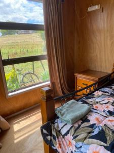a bedroom with a bed and a window with a view at Waitomo Farmstay - Cabin 3 and 4 in Waitomo Caves