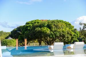 una piscina con 2 sillas blancas y un árbol en Fazenda Fiore Resort, en Paripueira