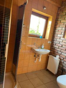 a bathroom with a sink and a shower at Dom Gór-ski in Wojcieszyce +14 photos