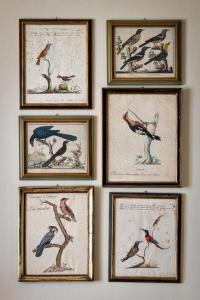 Billede fra billedgalleriet på i Casciani i Gigliola