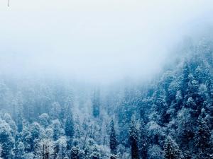Hostel 360 Degree, Riverside Stay, Old Manali during the winter