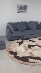 Billede fra billedgalleriet på Casa Roman i Statjunea Borsa