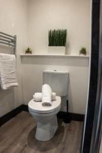 y baño con aseo, toallas y plantas. en Ilkeston High End Apartments Perfect For Contractors, en Ilkeston