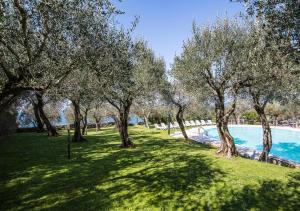 a row of olive trees next to a swimming pool at Appartamento Ideal in Sirmione +20 photos