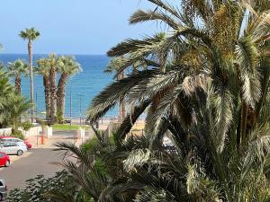 a view of a beach with palm trees and the ocean at Bella ÁGUILAS - Excelente ubicación en Las Delicias, vistas al mar, Wifi y Parking gratis in Águilas