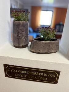 two plants sitting on top of a shelf at Casa Valentini in Zapfendorf +36 photos