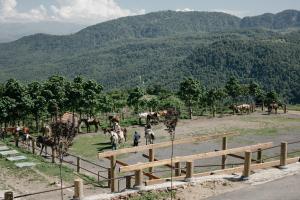 un gruppo di cavalli in un campo con montagne di Apaga Resort a Ijevan