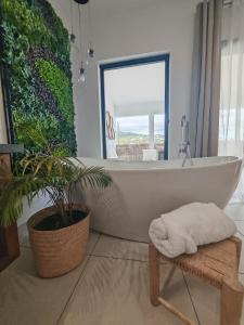 Fotografie z fotogalerie ubytování Cocon Nature Réunion v destinaci Saint-Denis